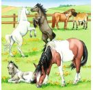 Ravensburger 5129 Puzzle Ein Tag auf dem Reiterhof 3 X 49 Teile