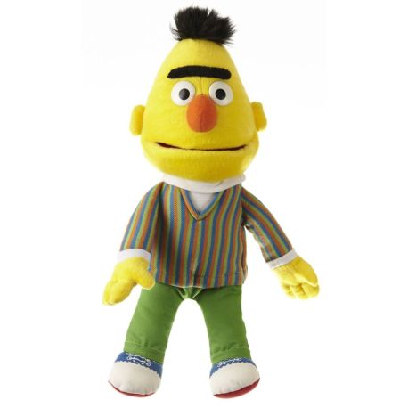 Bert 33-37 cm