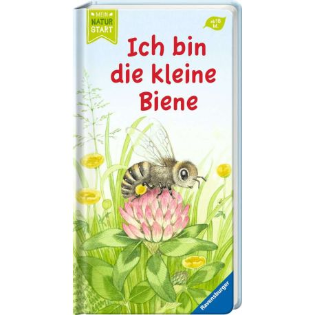 Ich bin die kleine Biene