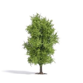 Baum 115 mm, Frühling H0