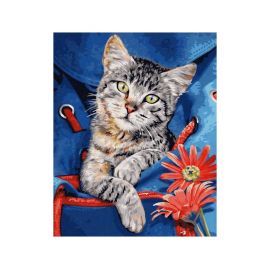 Malen nach Zahlen - Katze im Rucksack