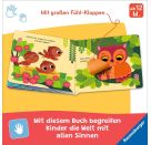 Wo bist du, kleine Eule?