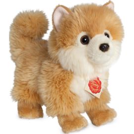 Teddy Hermann Zwergspitz, 22 cm