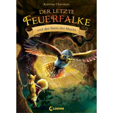 Der letzte Feuerfalke und der Stein der Macht (Band 1)