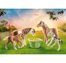 PLAYMOBIL 71000 2 Island Ponys mit Fohlen