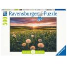 Ravensburger 16990 Puzzle Pusteblumen im Sonnenuntergang 500 Teile