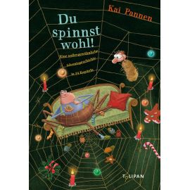 Du spinnst wohl! Eine außergewöhnliche Adventsgeschichte in 24 Kapiteln