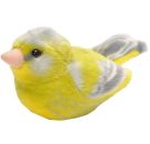 Grünfink