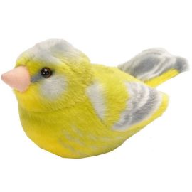 Grünfink
