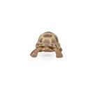 Papo 50264 Hermanns Schildkröte