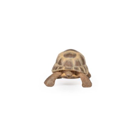 Papo 50264 Hermanns Schildkröte
