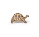 Papo 50264 Hermanns Schildkröte