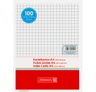 Karteikarten A6 kar.ws