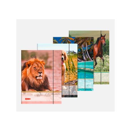 BRUNNEN 1047035  Sammelmappe