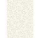 Primav.Karton Firenze champa