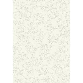 Primav.Karton Firenze champa