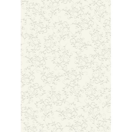 Primav.Karton Firenze champa