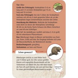 Expedition Natur 50 Tierspuren
