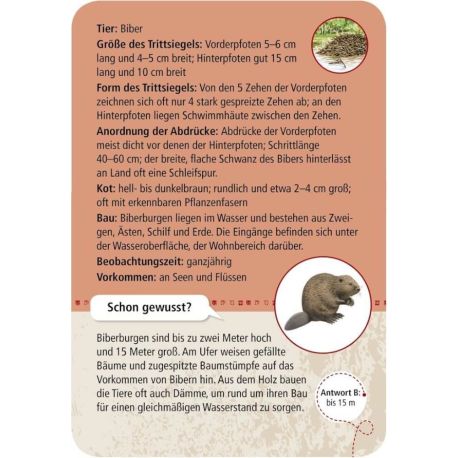 Expedition Natur 50 Tierspuren
