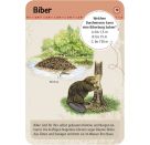 Expedition Natur 50 Tierspuren