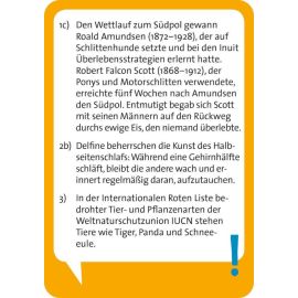 Pocket Quiz Allgemeinwissen