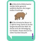 Pocket Quiz junior Allgemeinwissen