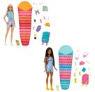 Barbie   It takes two! Camping   Spielset mit Malibu Puppe, Hündchen und Accessoires