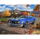 71 Ford Mustang Boss 351 , Revell Modellbausatz