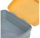 Lunch Set About Friends Lion