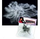 FRIES - Deko-Spinnennetz mit Spinne, 20 g
