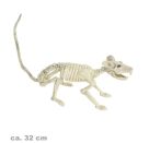 FRIES - Deko-Skelett Ratte, 32 cm