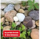 Die drei ??? Geheimversteck (gr. Dose)
