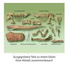 T-Rex 3D