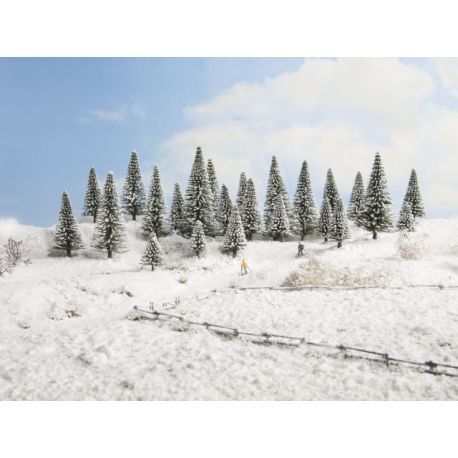 N,Z Schneetannen