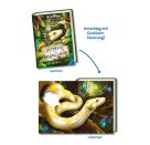 Internat der bösen Tiere, Band 3: Die Reise (Bestseller-Tier-Fantasy ab 10 Jahre)