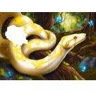 Internat der bösen Tiere, Band 3: Die Reise (Bestseller-Tier-Fantasy ab 10 Jahre)