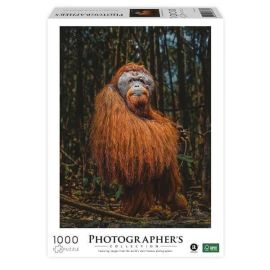 Ambassador - Orang-Utan 1000 Teile (Donal Boyd)