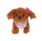 Chi Chi Love Tea Cup Poodle Puppy