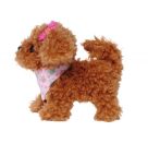 Chi Chi Love Tea Cup Poodle Puppy