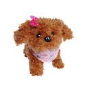 Chi Chi Love Tea Cup Poodle Puppy