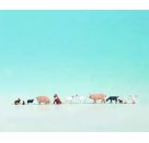 H0 Tiere auf dem Bauernhof