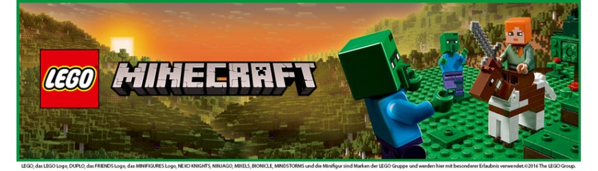 LEGO® Minecraft™